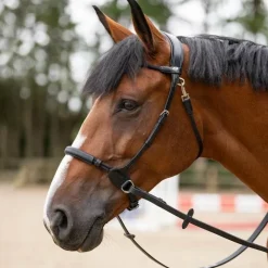 Jump'In - Bridon bitless Evolution Noir Sale