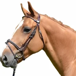 New Jump'In - Bridon Monday muserolle croisée collection Week Acajou