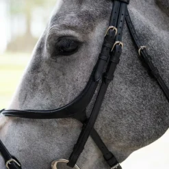 New Jump'In - Bridon muserolle croisée Evolution Noir