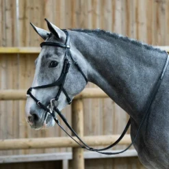 New Jump'In - Bridon muserolle croisée Evolution Noir