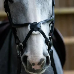 New Jump'In - Bridon muserolle croisée Evolution Noir