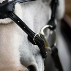 New Jump'In - Bridon muserolle croisée Evolution Noir