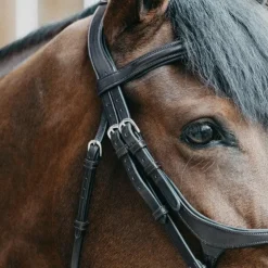 Discount Jump'In - Bridon muserolle croisée Evolution noisette Marron