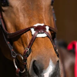 Discount Jump'In - Bridon muserolle croisée Evolution noisette Marron