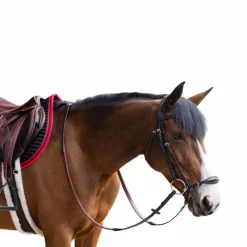 Clearance Jump'In - Bridon muserolle allemande Evolution havane Marron