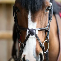 Hot Jump'In - Bridon muserolle croisée Evolution havane Marron