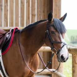 Hot Jump'In - Bridon muserolle croisée Evolution havane Marron