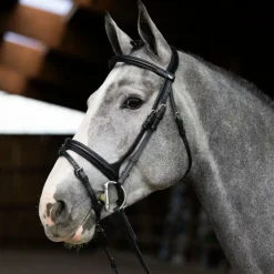 Jump'In - Bridon muserolle combinée Evolution Noir Outlet