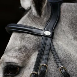 Jump'In - Bridon muserolle combinée Evolution Noir Outlet