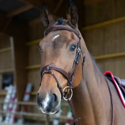 Jump'In - Bridon muserolle combinée Evolution noisette Marron Outlet