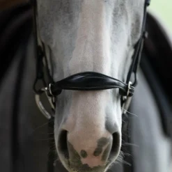 Outlet Jump'In - Bridon muserolle allemande Evolution Noir