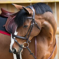 Jump'In - Bridon muserolle combinée Evolution havane Marron Discount