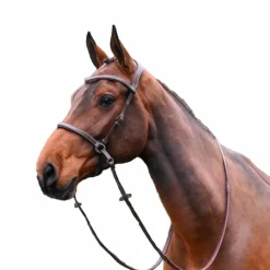 New Jump'In - Bridon One bitless Noisette