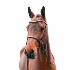 New Jump'In - Bridon One bitless Noisette