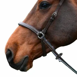 New Jump'In - Bridon One bitless Noisette