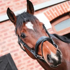 Jump'In - Bridon One Bruxelles avec rênes Noir Discount