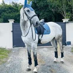 Jump'In - Bridon One Bruxelles avec rênes Noir Discount