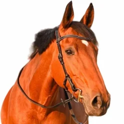 Jump'In - Bridon One liberty / acajou Noir Online