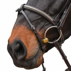 Discount Jump'In - Bridon One Premium Clincher Noisette