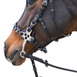 Outlet Jump'In - Bridon One Premium Hackamore Havane