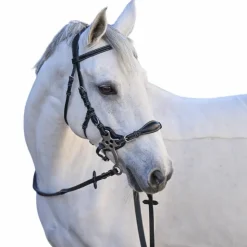 Best Jump'In - Bridon One Premium Hackamore Noir