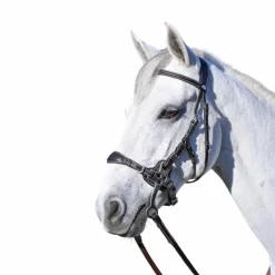 Best Jump'In - Bridon One Premium Hackamore Noir