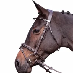 Jump'In - Bridon Wednesday muserolle combinée Havane Clearance