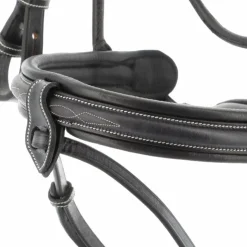 Jump'In - Bridon Week Friday avec rênes Best