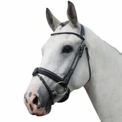 Jump'In - Bridon Week Friday avec rênes Best