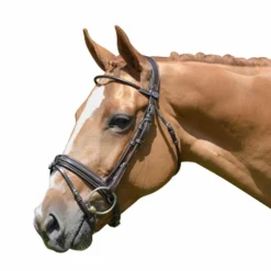 Jump'In - Bridon Week Friday avec rênes Best