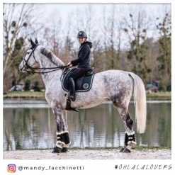 Jump'In - Bridon Week Friday avec rênes Best