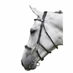 Discount Jump'In - Bridon Week Hackamore avec rênes Noir