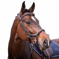 Hot Jump'In - Bridon Week Summer havane