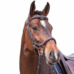 Hot Jump'In - Bridon Week Summer havane