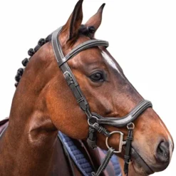 Best Jump'In - Bridon week Summer noir