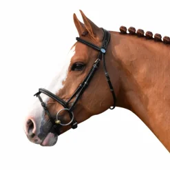 Jump'In - Bridon Week Tuesday avec rênes Online