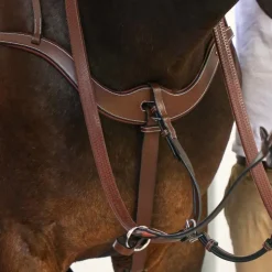 Outlet Jump'In - Collier de chasse 5 points + martingale One Noisette