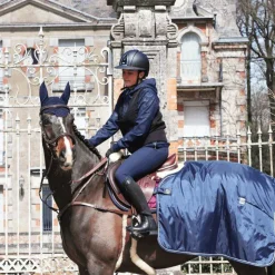 Outlet Jump'In - Collier de chasse 5 points + martingale One Noisette