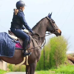 Outlet Jump'In - Collier de chasse 5 points + martingale One Noisette