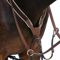 Jump'In - Collier de chasse élastique + martingale One Noisette Marron Sale