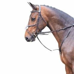 Jump'In - Enrênement Howlett Week Best