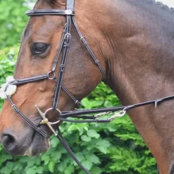 Jump'In - Enrênement Howlett Week Best