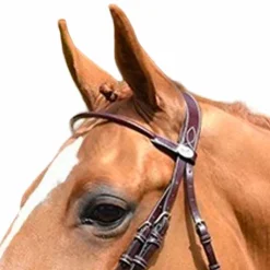 Discount Jump'In - Frontal Monday rond Week