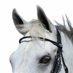 Discount Jump'In - Frontal Monday rond Week