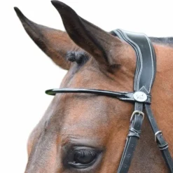 Online Jump'In - Frontal verni rond Noir