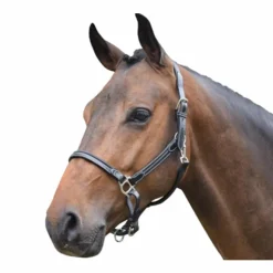 Clearance Jump'In - Licol cheval Week de pansage Noir