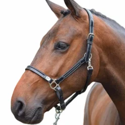 Clearance Jump'In - Licol cheval Week de pansage Noir