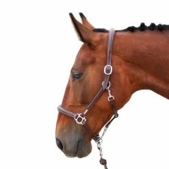 Outlet Jump'In - Licol de pansage One Noisette Marron