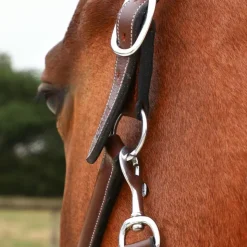 Outlet Jump'In - Licol de pansage One Noisette Marron