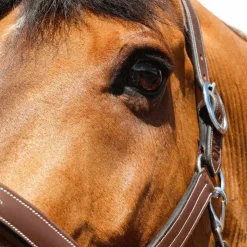 Discount Jump'In - Licol Fancy One Noisette Marron